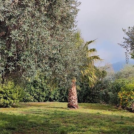 Вила Елена-Villa Elena 1 Skala Potamia  Dış mekan fotoğraf
