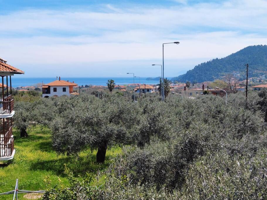 Вила Елена-Villa Elena 1 Skala Potamia  Dış mekan fotoğraf