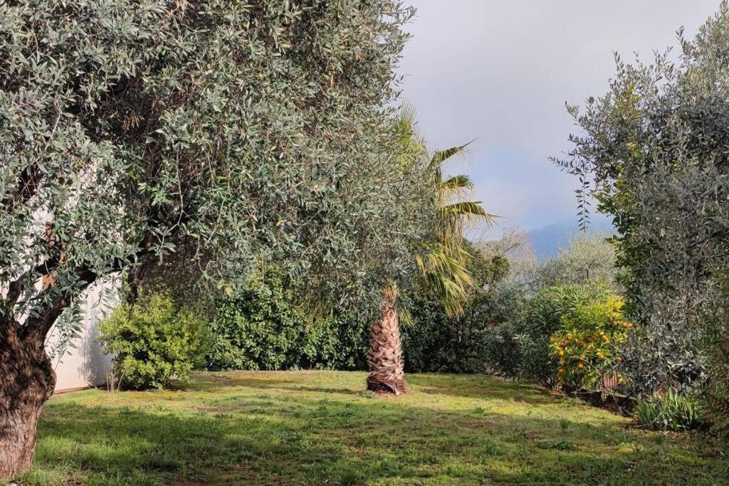 Вила Елена-Villa Elena 1 Skala Potamia  Dış mekan fotoğraf