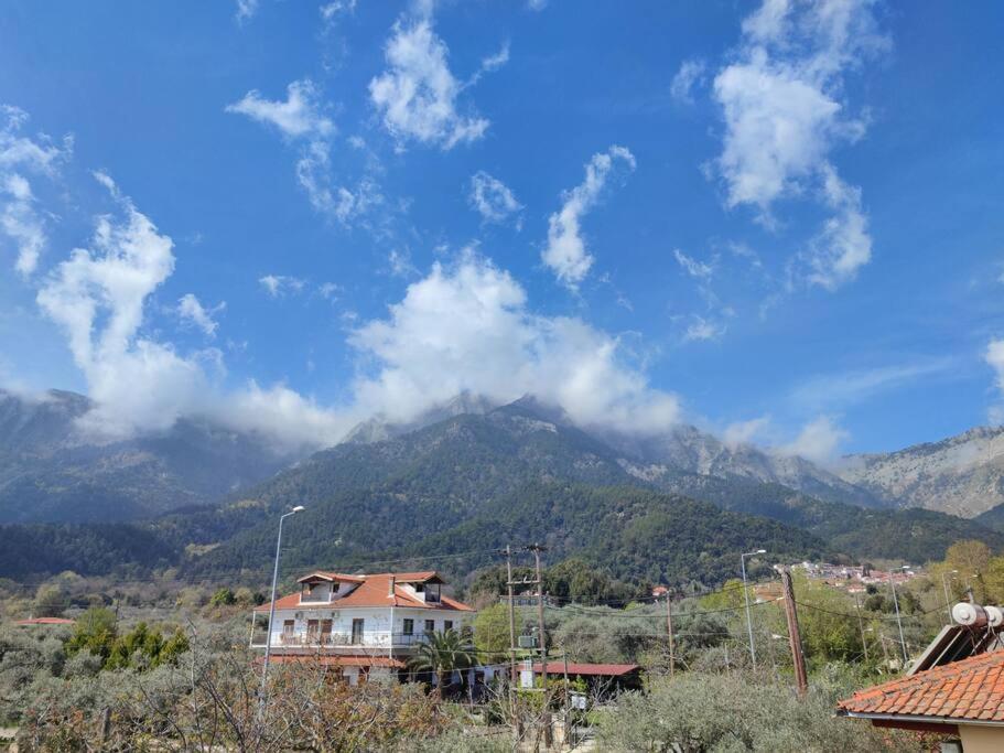 Вила Елена-Villa Elena 1 Skala Potamia  Dış mekan fotoğraf